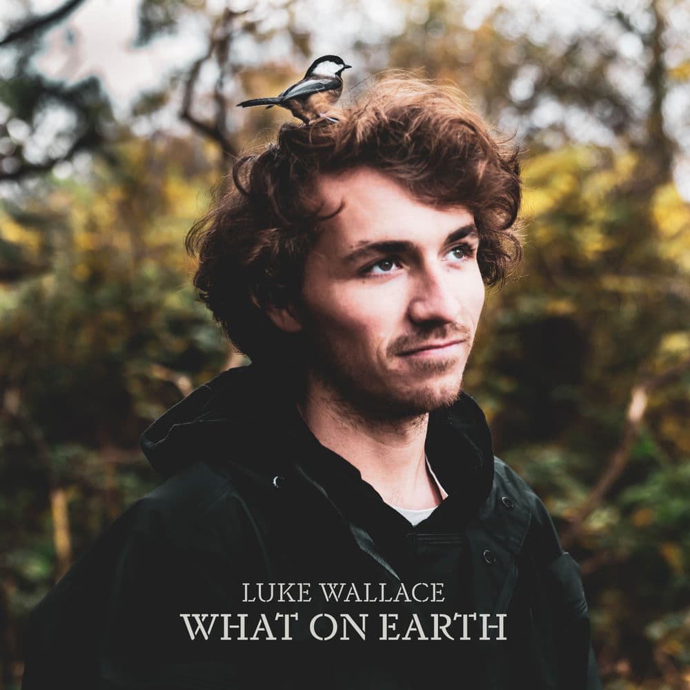 Luke Wallace – Singer-Songwriter