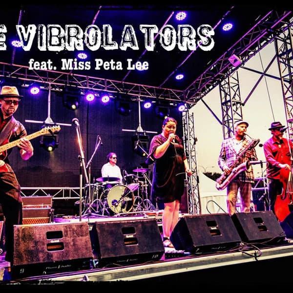 The Vibrolators – Rock