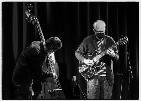 Bill Frisell Trio