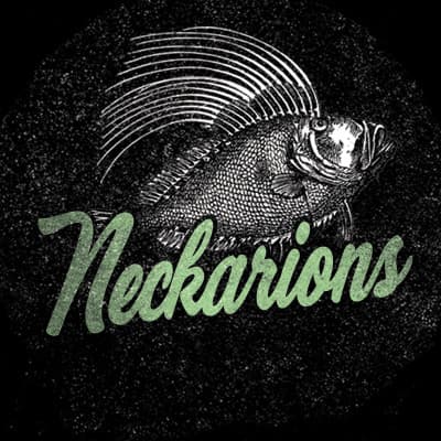 Neckarions – Punk