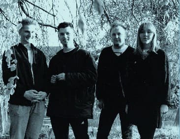 FEVERFEW – Pop