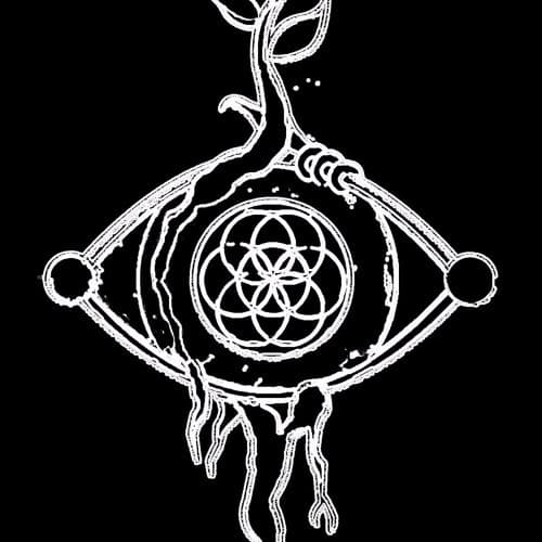 Seeded Vision – Electro