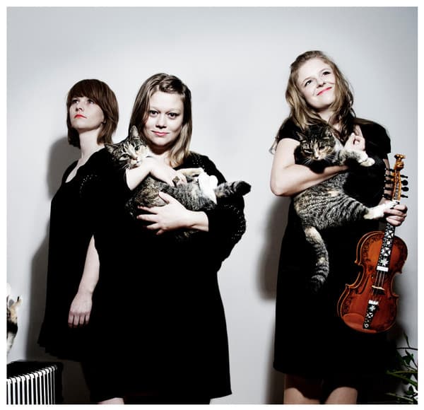 TINDRA – Nordic