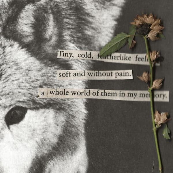 Drifting Away – Electro