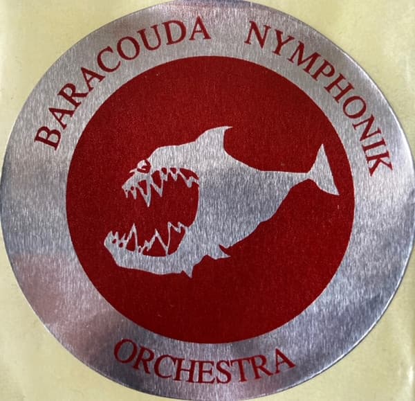 NYMPHONIK ORCHESTRA – Reggae