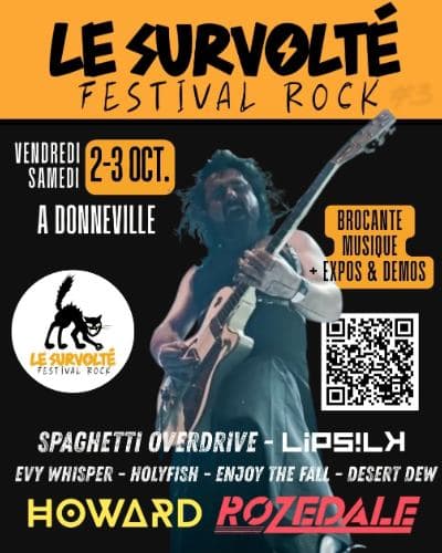LE SURVOLTE FESTIVAL