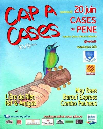 CAP A CASES