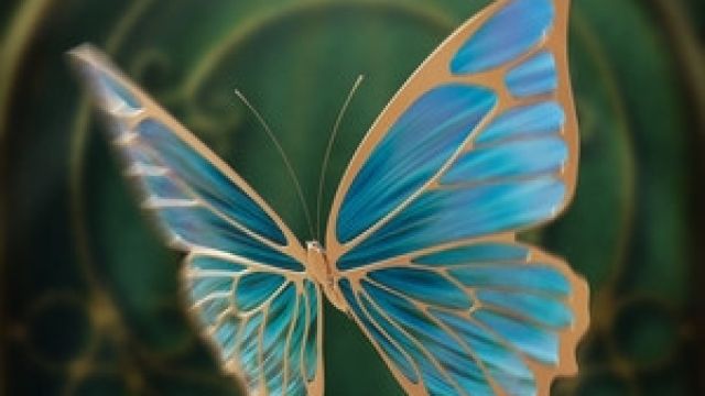 Butterfly Festival