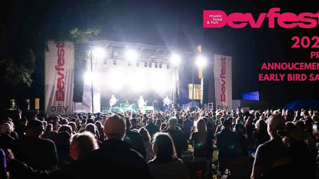 Dev Fest