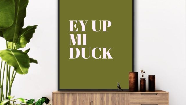 Ey Up Mi Duck