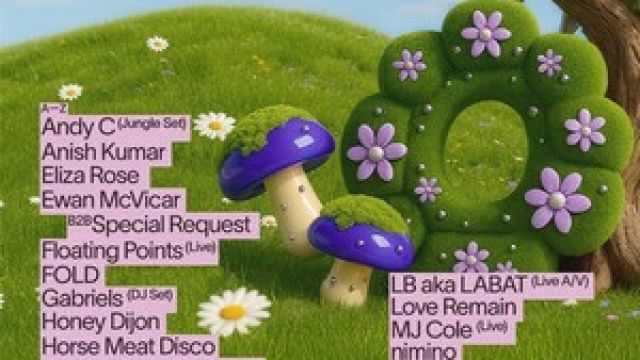 Field Day Festival