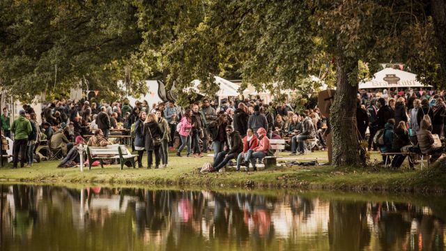 Golden Leaves Festival