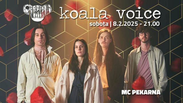 Koala Voice & Infected