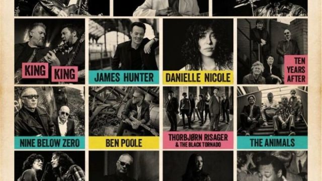 Lax N Blues Festival
