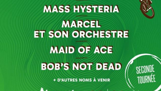 LES GUEULES DE BOIS