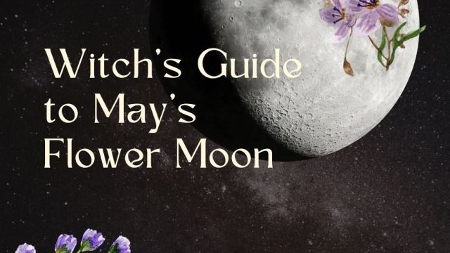 May Moon Magick