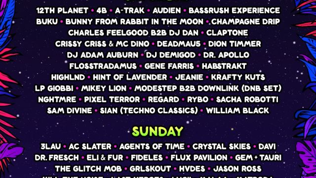 Nocturnal Culture Night Festival