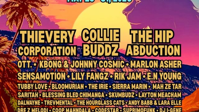 Rise & Vibes Festival