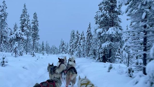 Sled Island 2026