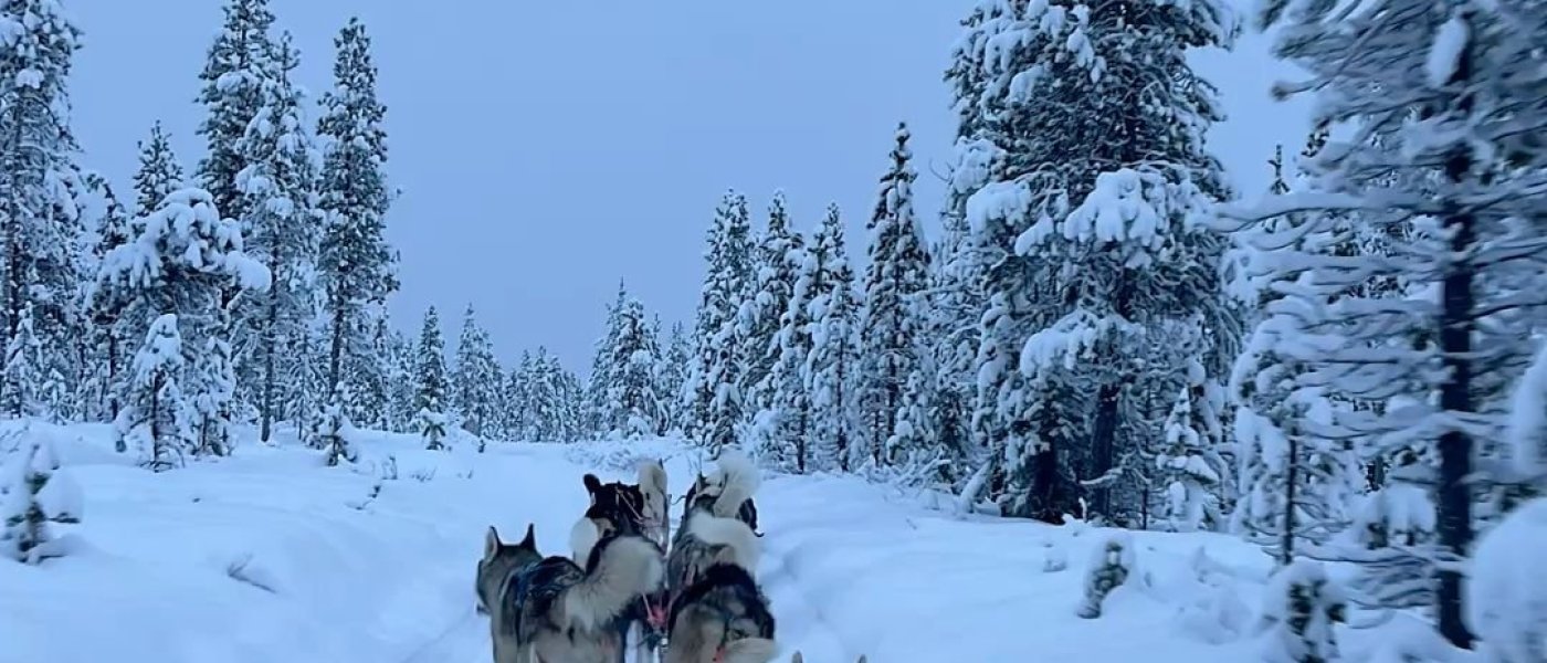 Sled Island 2026