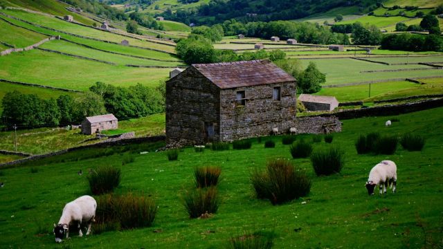 Swaledale Festival