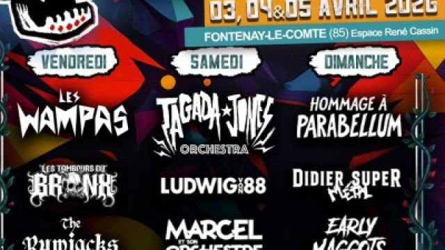 Festival on a plus 20 ans