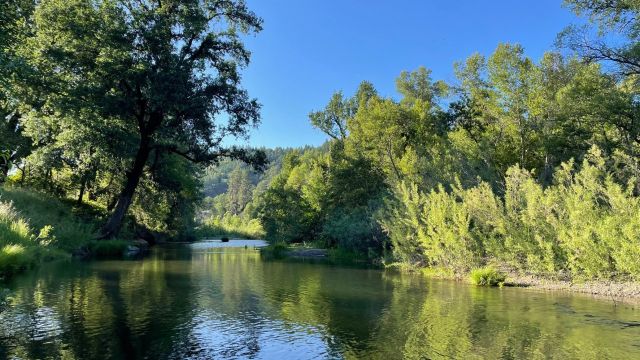 Ten Mile Creek Revival