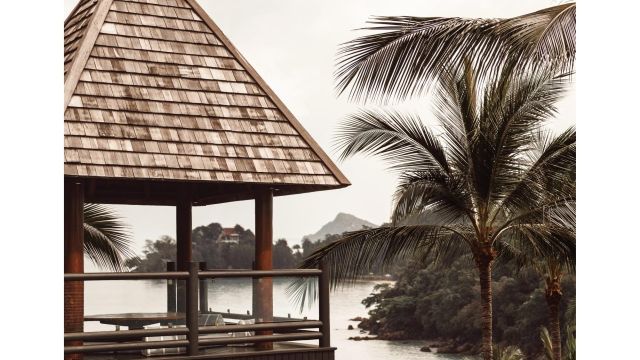 Tropical Mountain