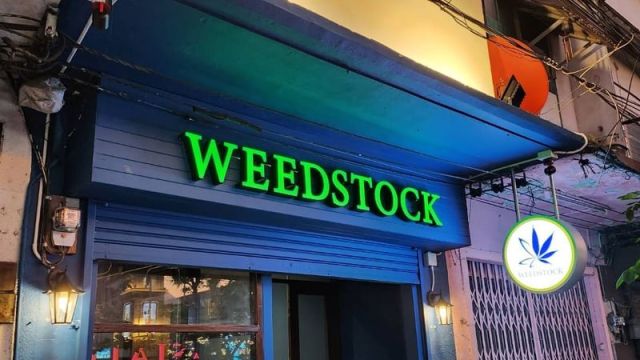 Weedstock 2026