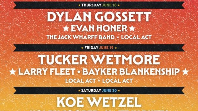 Wild Trails Festival