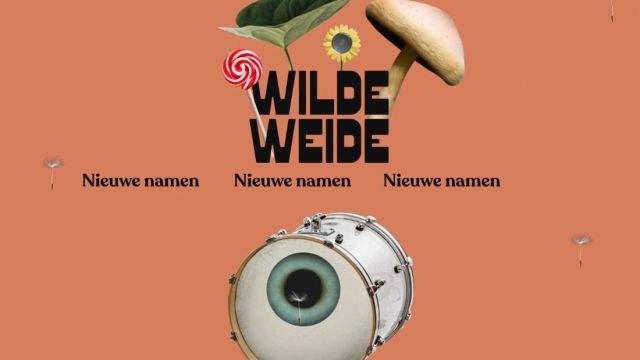 Wilde Weide